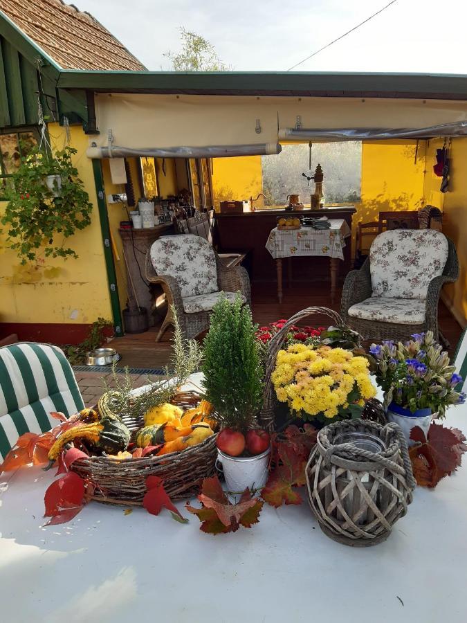 Villa-Magdi Vendeghaz Révfülöp エクステリア 写真