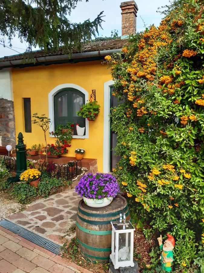 Villa-Magdi Vendeghaz Révfülöp エクステリア 写真