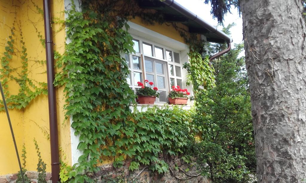 Villa-Magdi Vendeghaz Révfülöp エクステリア 写真