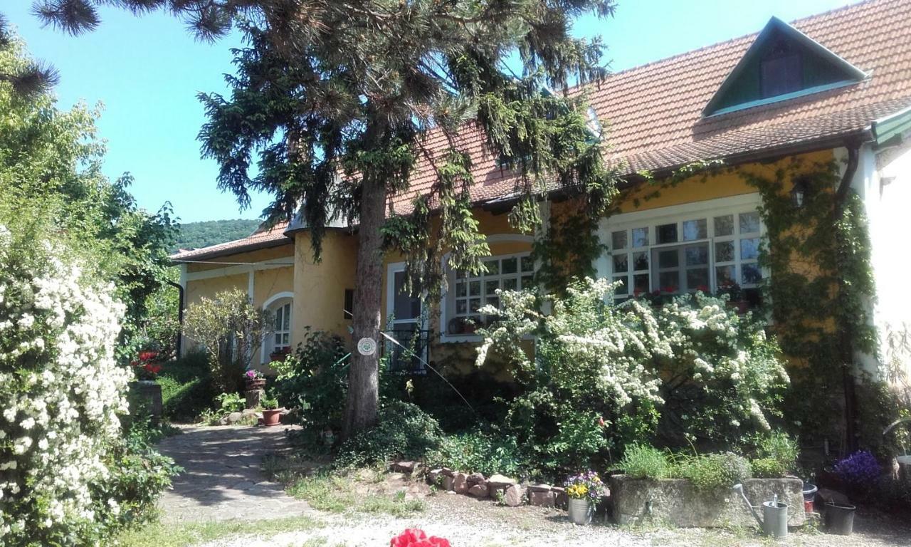 Villa-Magdi Vendeghaz Révfülöp エクステリア 写真