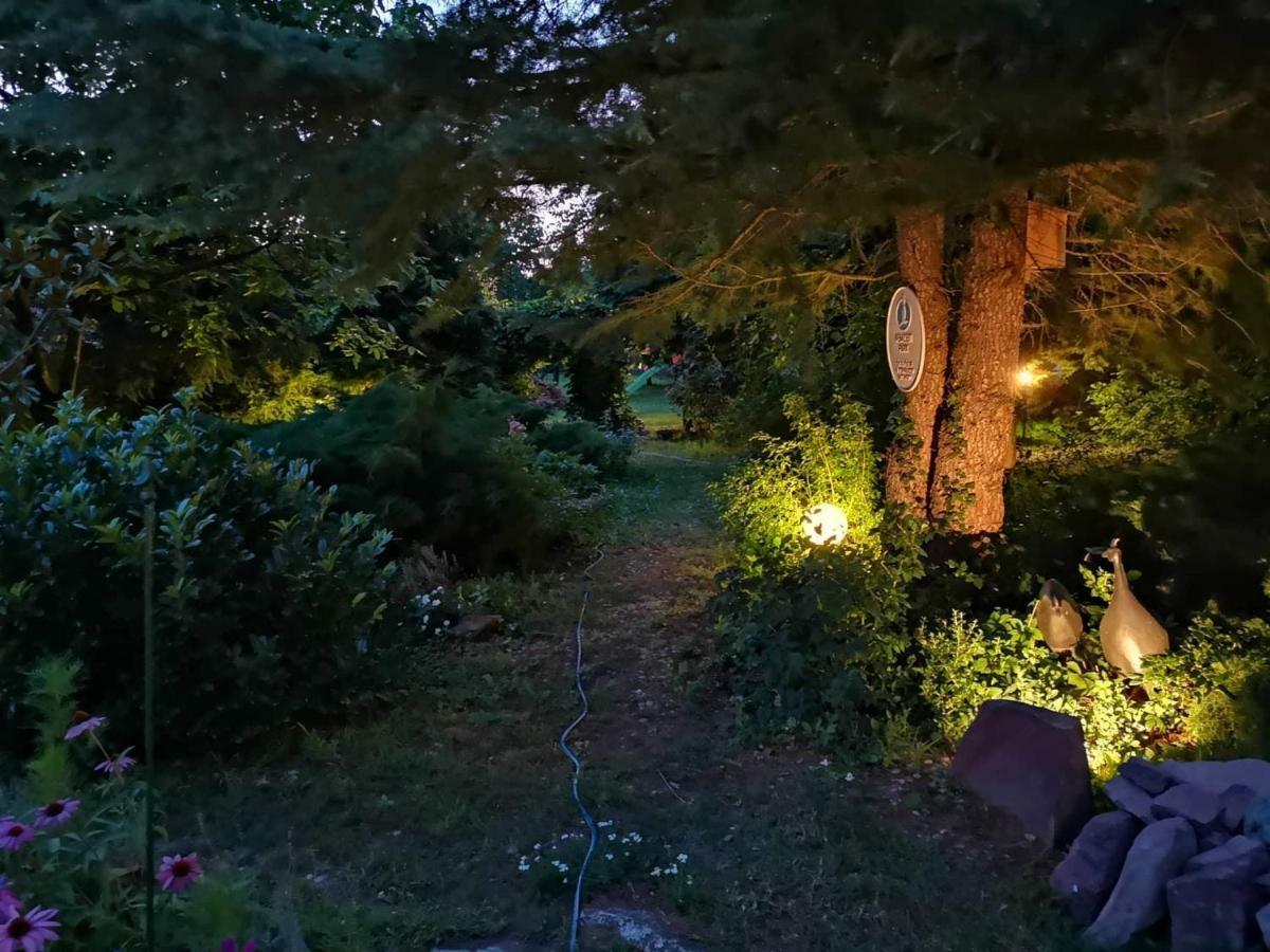 Villa-Magdi Vendeghaz Révfülöp エクステリア 写真