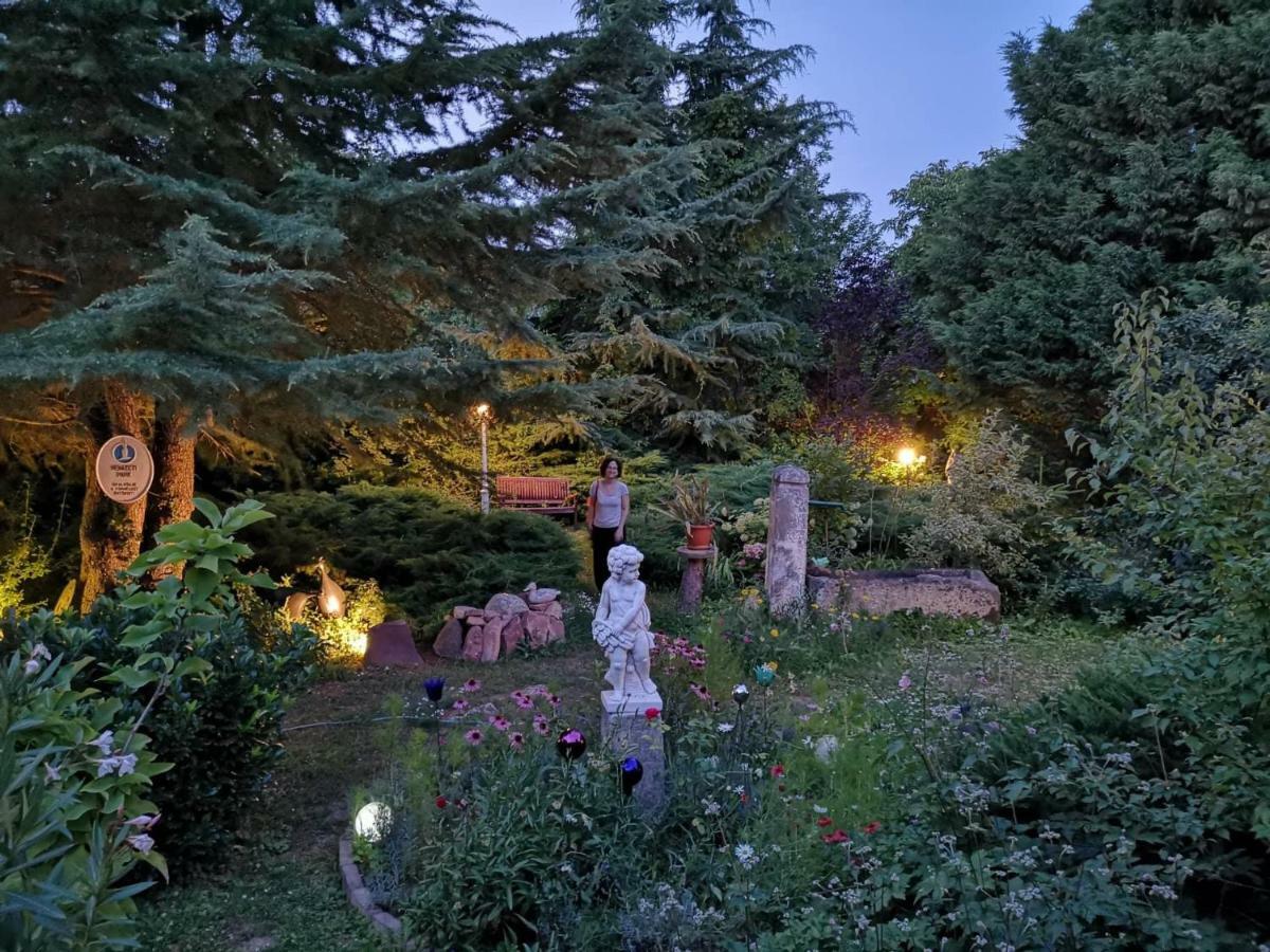 Villa-Magdi Vendeghaz Révfülöp エクステリア 写真